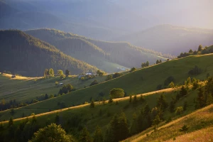 Nootropiki naturalne vs syntetyczne: bezpieczeństwo i skuteczność dla dzieci z ADHD