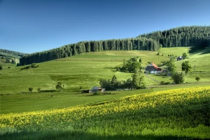 Zadbaj o zdrowie: Kluczowe kroki do lepszego samopoczucia