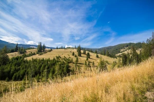 Dobra atmosfera sprzyja zdrowiu: Klucz do szczęścia i dobrej kondycji